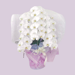 スタンド花 献花